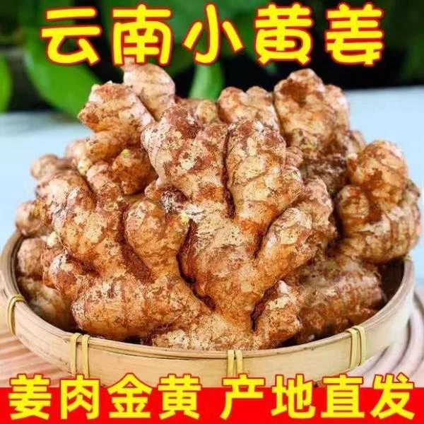 云南山地小黄姜断姜 碎姜 5.1斤新鲜现挖土姜月子姜③