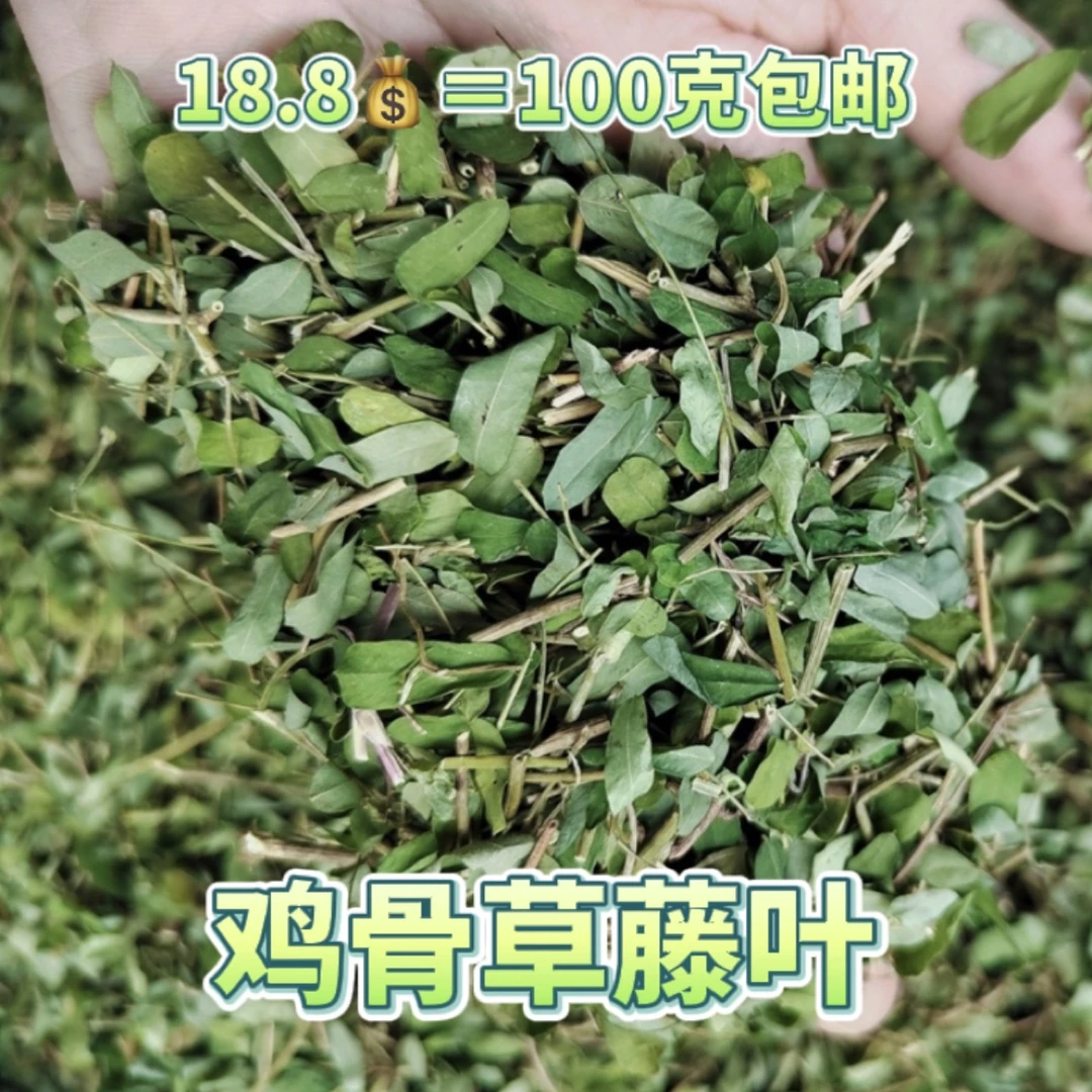 鸡骨草叶相思藤叶煲汤泡水甘甜100克包邮