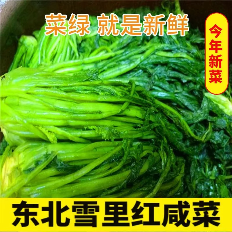 东北农家大缸腌制新鲜清爽雪里红用五花肉炖豆腐超好吃