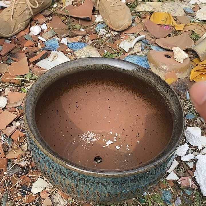 红陶20CM以下高度