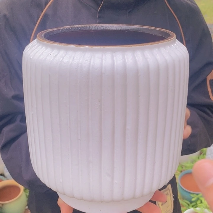 红陶20CM以下高度