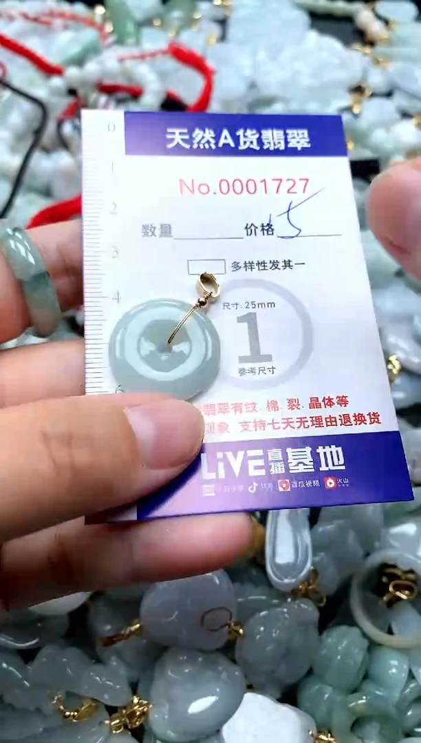 【闪购商品】翡翠颈饰未镶嵌翡翠
