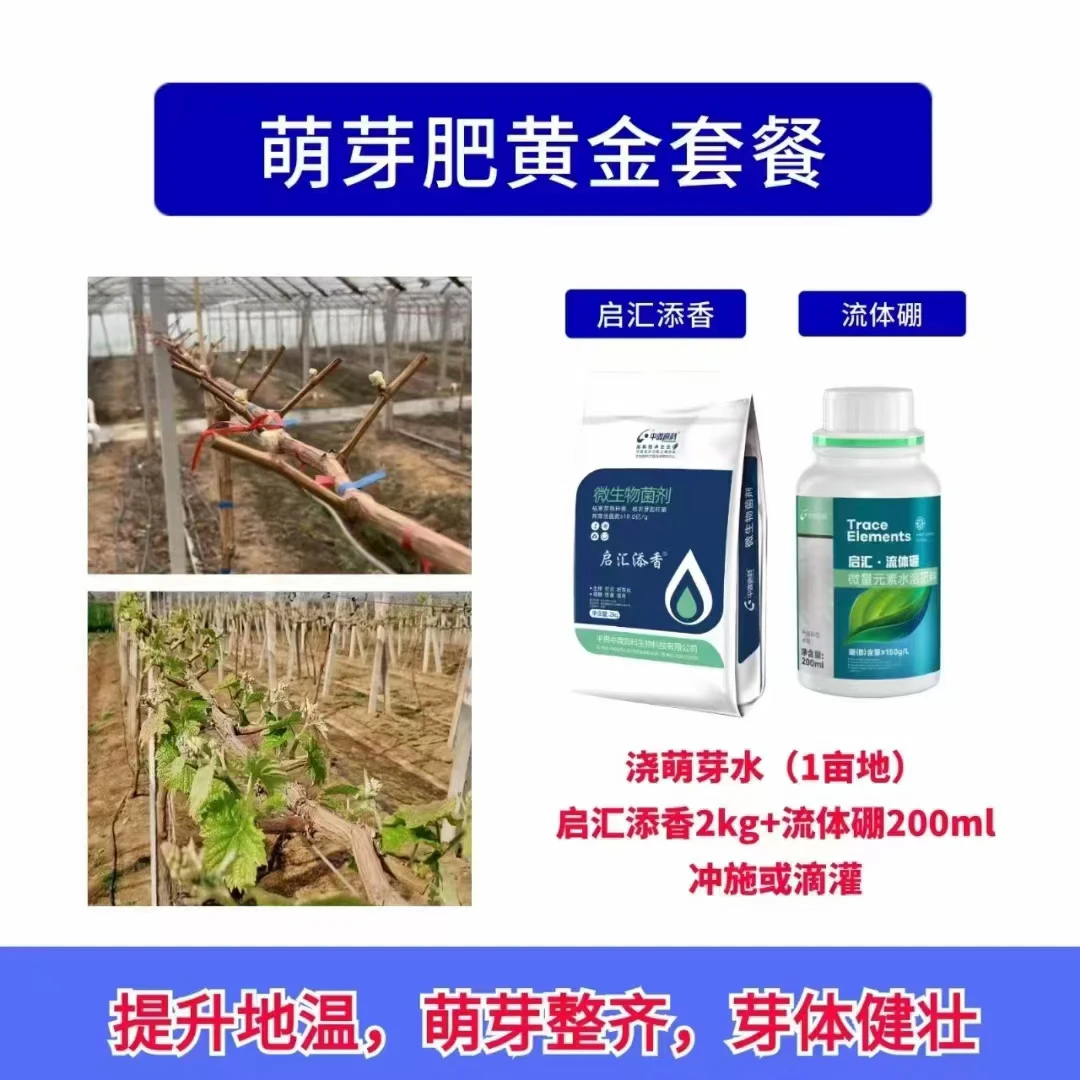 启汇添香流体硼葡萄萌芽整齐花絮健壮开花授粉养分供应