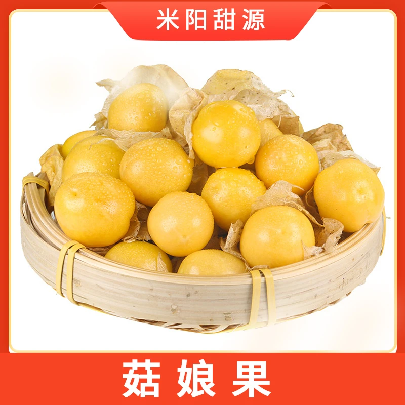【东北菇娘果】当季水果香甜多汁灯笼果菇娘果产地直发1/3斤 S