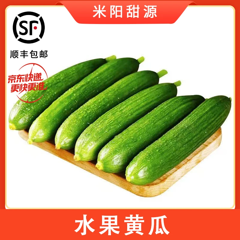 【米阳甜源】山东水果黄瓜 3斤约13-17个/5斤约20-25个