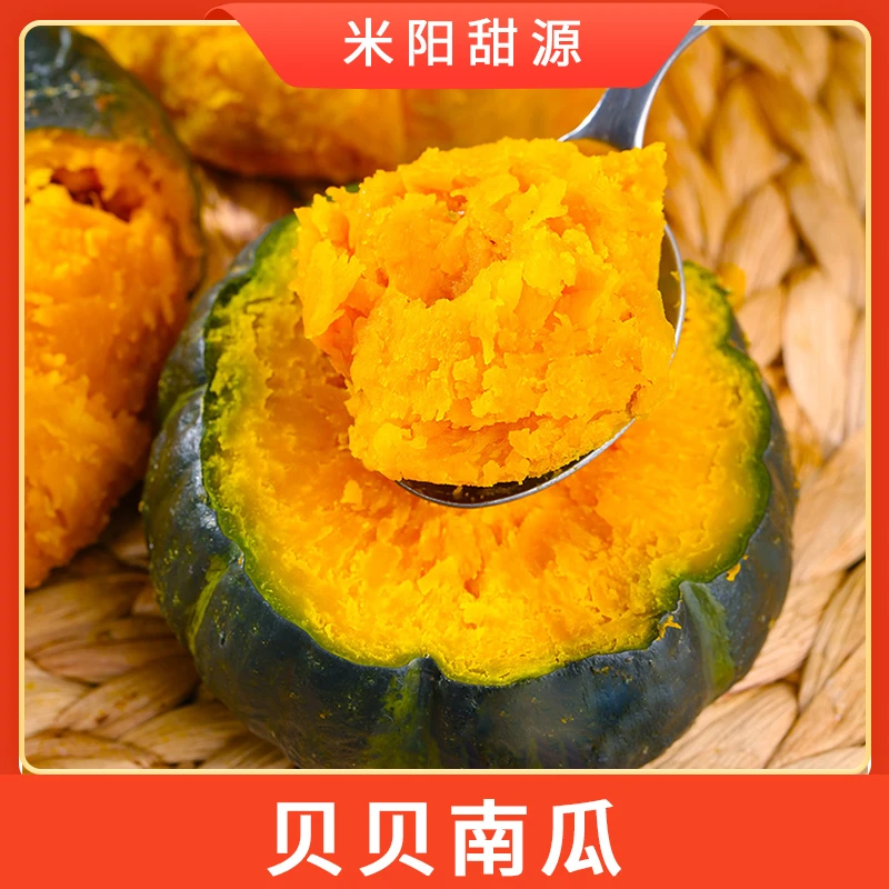 【不粉包赔】贝贝南瓜粉糯香甜板栗味宝宝辅食南瓜4.5斤 约4-6个 X