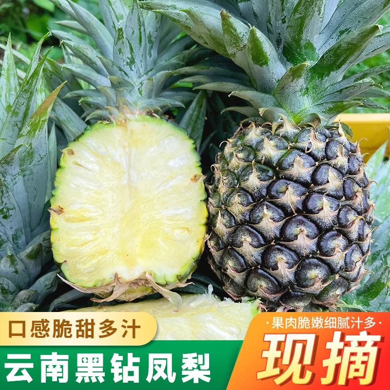 【黑钻凤梨】云南西双版纳黑钻凤梨新鲜水果多汁果香4.5-5斤装 X