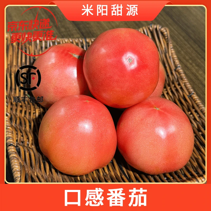 【米阳甜源】口感番茄3斤约7-13个/4.5斤约10-20个