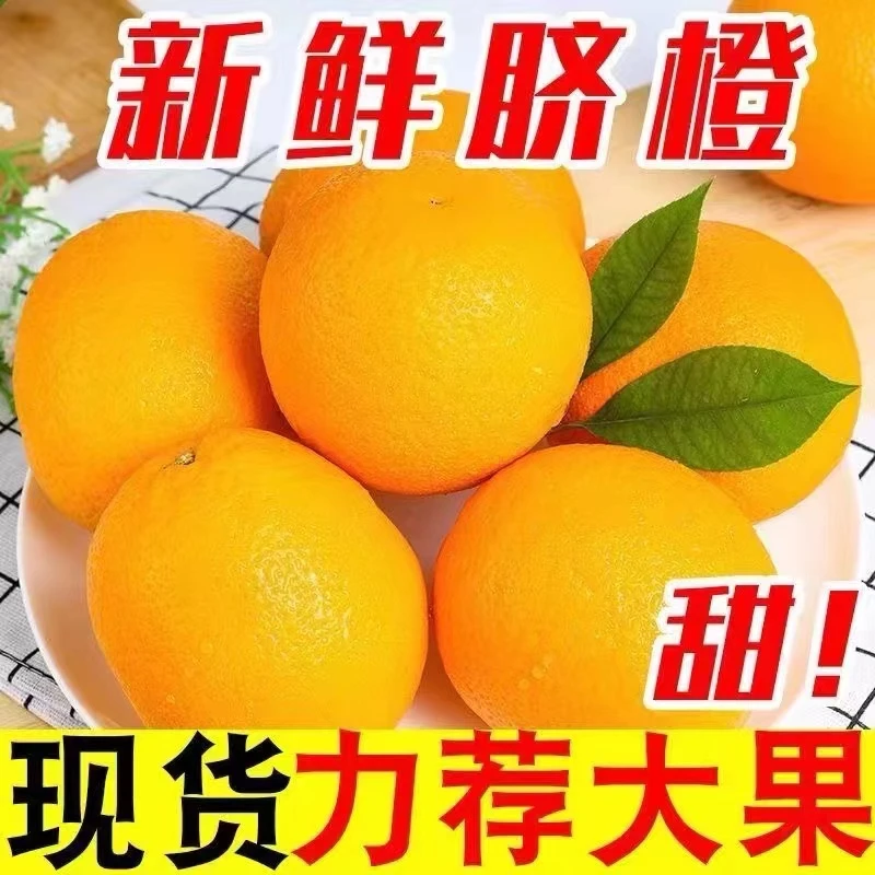 湖北宜昌脐橙新鲜橙子产地直发正宗秭归脐橙一级新鲜水果现摘大果