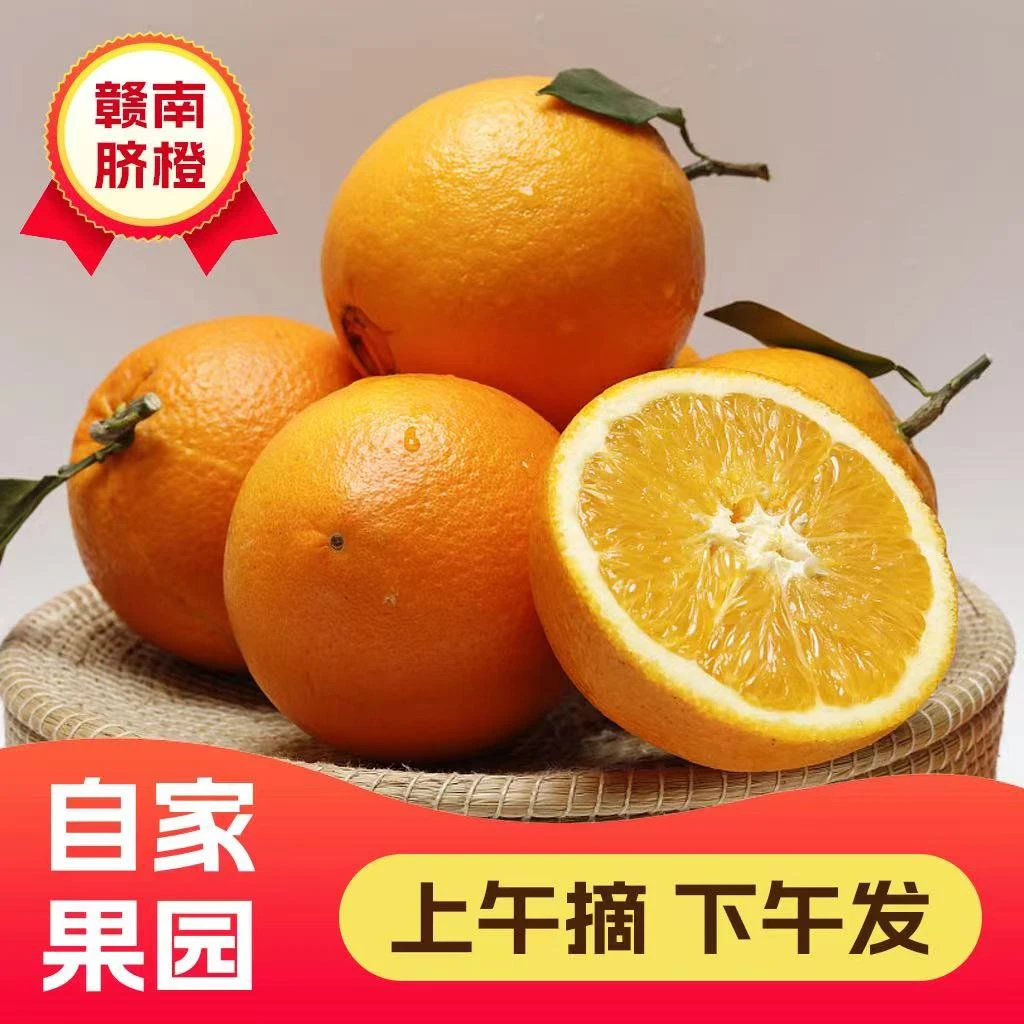 赣南脐橙含箱10斤橙子优选大果 水果