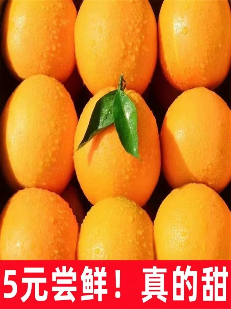 正宗湖北脐橙新鲜秭归脐橙当季整箱水果现摘爆汁甜橙子3/5/9斤
