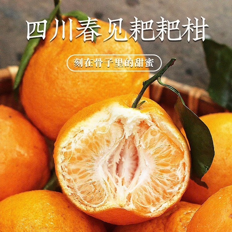 正宗四川春见耙耙柑9斤橘子水果当季丑八怪粑粑柑桔子丑柑桔包邮