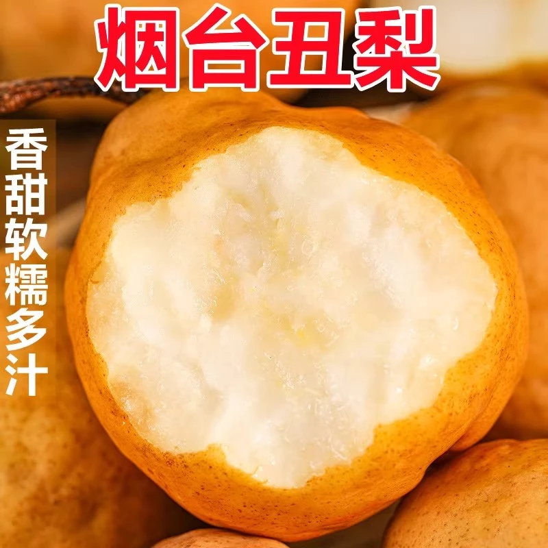 【放软在吃】山东烟台纯甜丑梨软糯香甜果肉细腻新鲜应季净重4.5斤