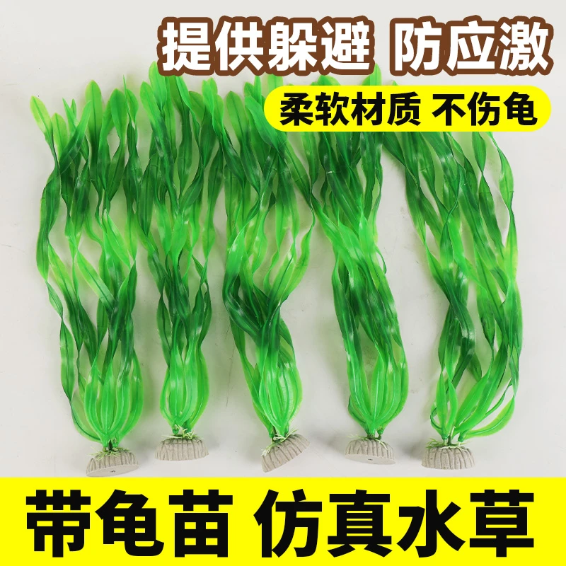 仿真水草躲避乌龟带苗蛋龟果核麝香头盔剃刀防溺水泥龟龟缸假叶子