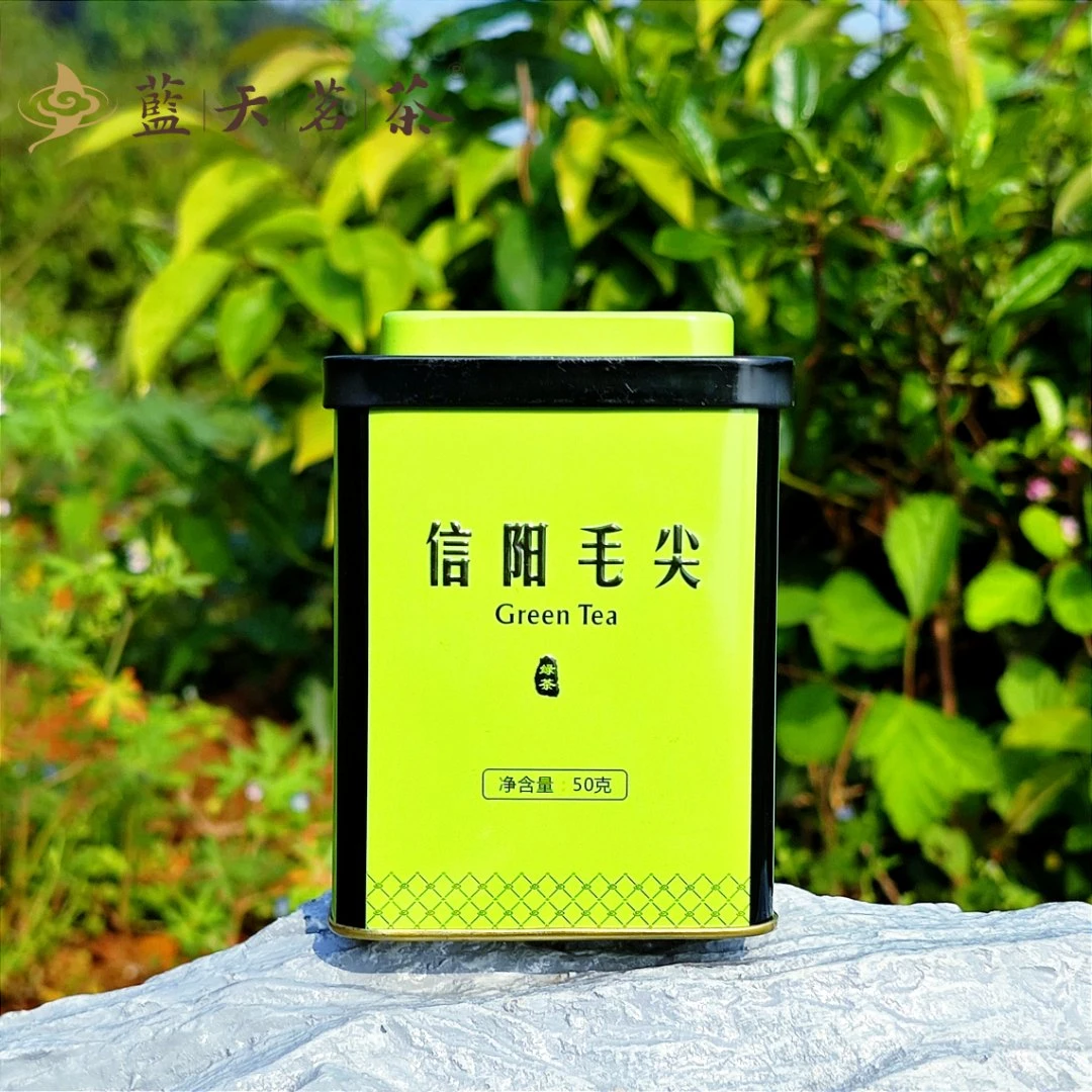 【蓝天茗茶】信阳毛尖2025明前特级绿茶小绿罐50g/罐