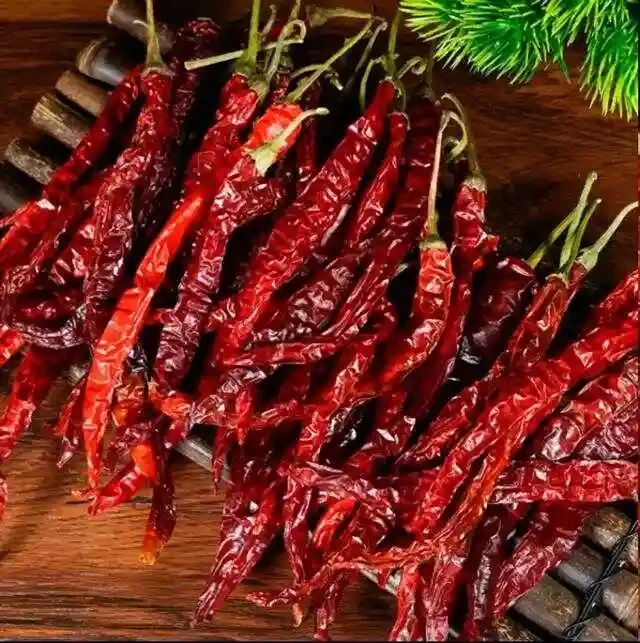 特产二荆条干辣椒