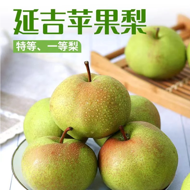 延边特产水果龙井苹果梨