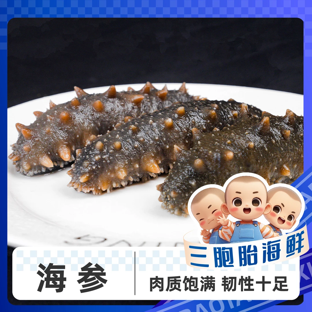【顺丰发货】②新鲜美味营养速冻海鲜 即食海参到手8到10根 500g/包