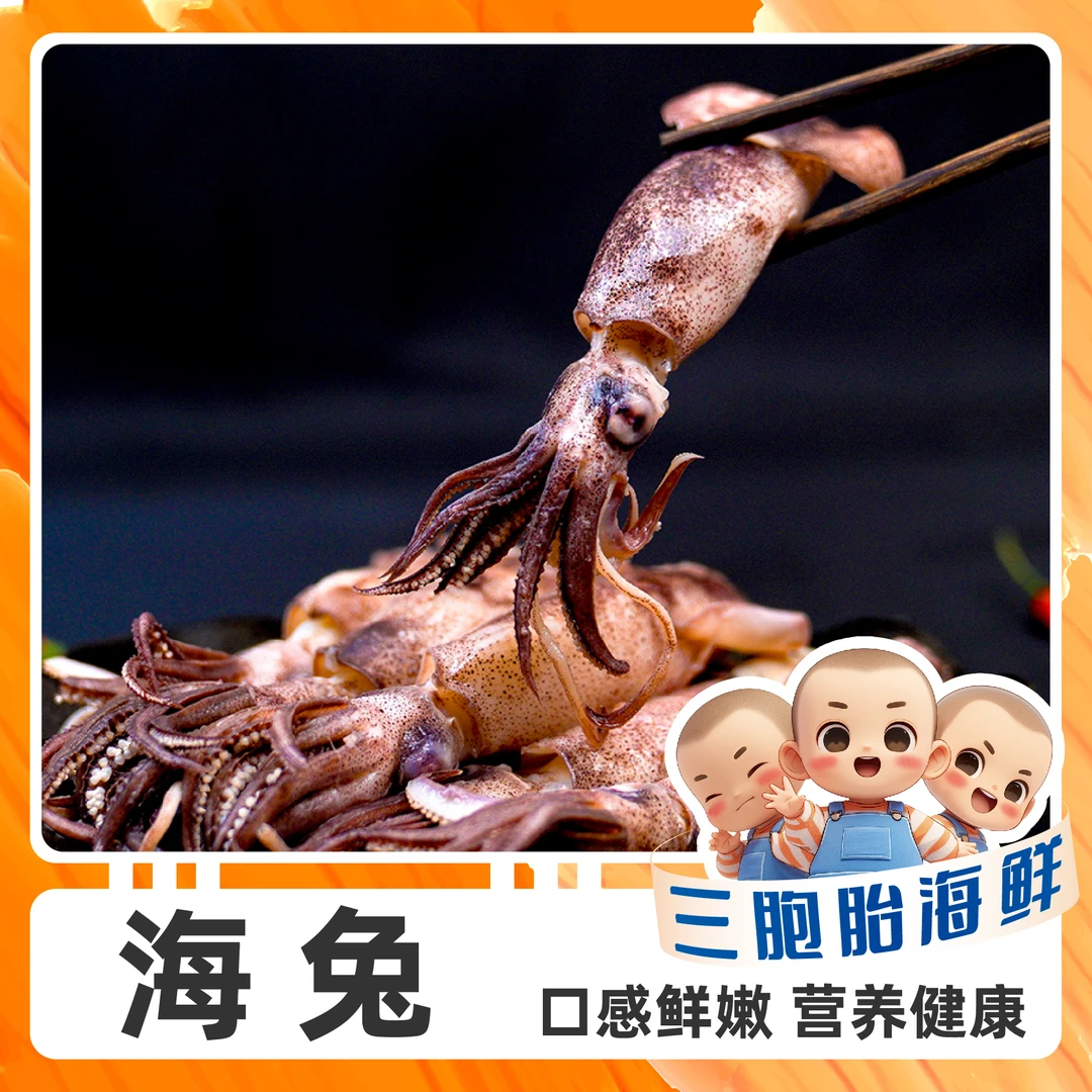 【顺丰发货】②美味新鲜全籽海兔 10只/包 *5（到手总共50只）