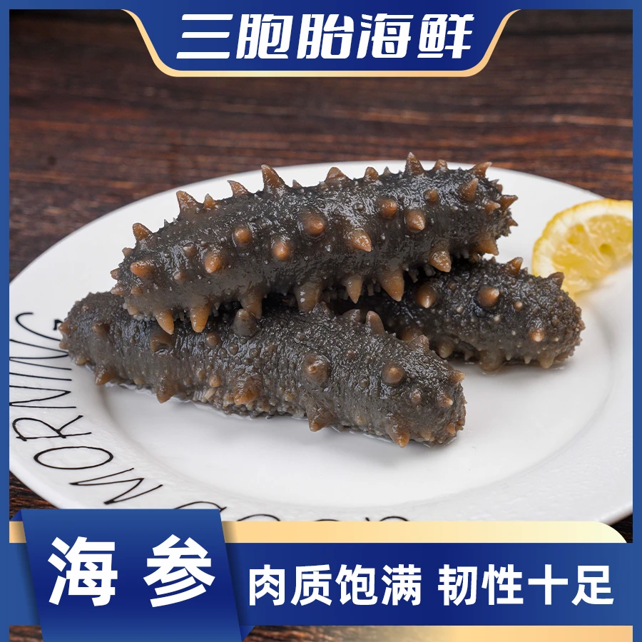 【顺丰发货】①新鲜美味营养速冻海鲜 即食海参到手8到10根 500g/包