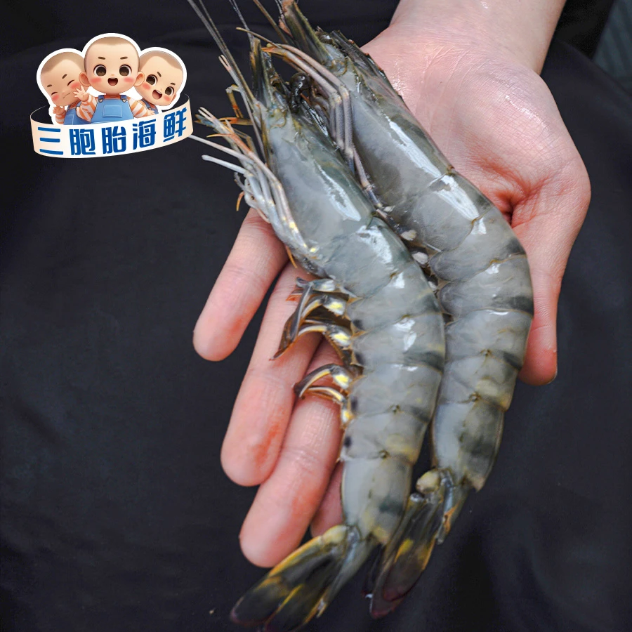 【顺丰发货】②新鲜26-30黑虎虾 肉质鲜嫩 50只左右/盒 到手三斤/盒