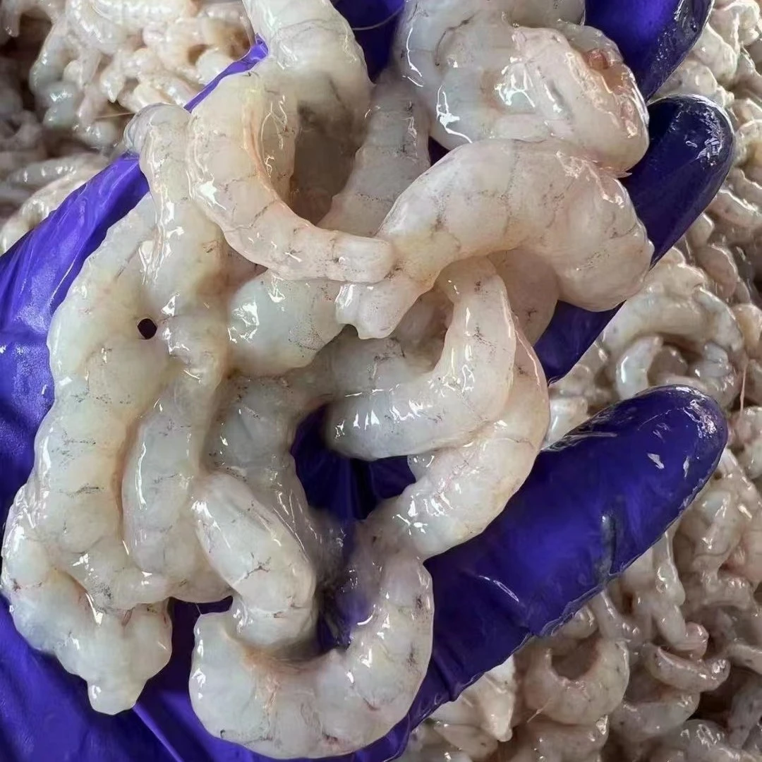 本地渔民捕捞野生铁皮虾任二斤