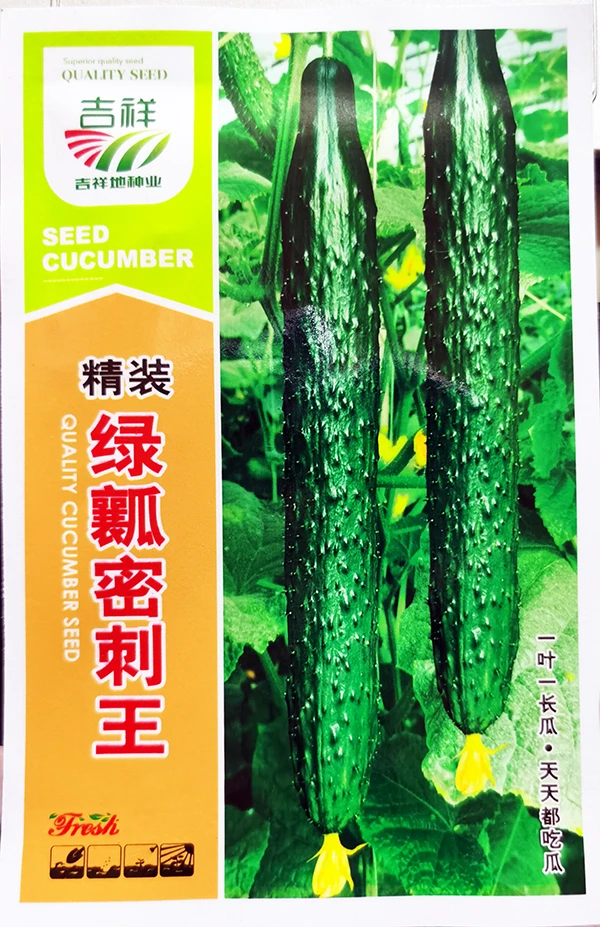 精装绿瓤密刺王水黄瓜种子早熟抗病绿皮绿肉瓜长肉厚黄瓜蔬菜籽种