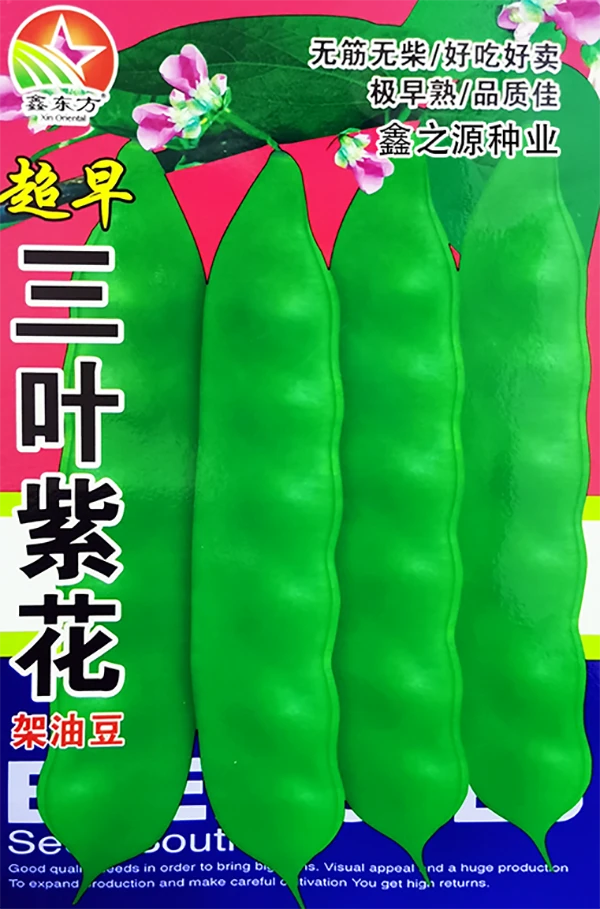 早熟三叶紫花豆角种子正宗东北黑龙江笨油豆角籽儿无筋豆角籽种