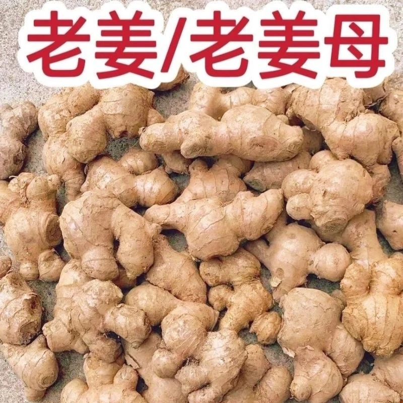（碎姜老姜头）云南小黄姜碎姜老姜头老母姜断姜