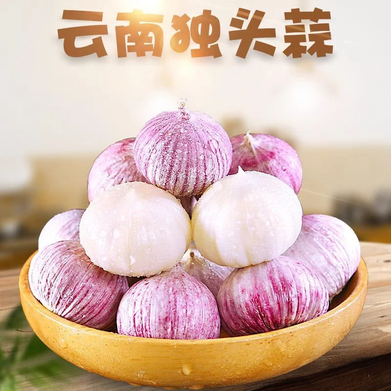 云南2025鲜嫩紫皮独头蒜干蒜独头紫皮农家干蒜紫皮大蒜饱满肉厚