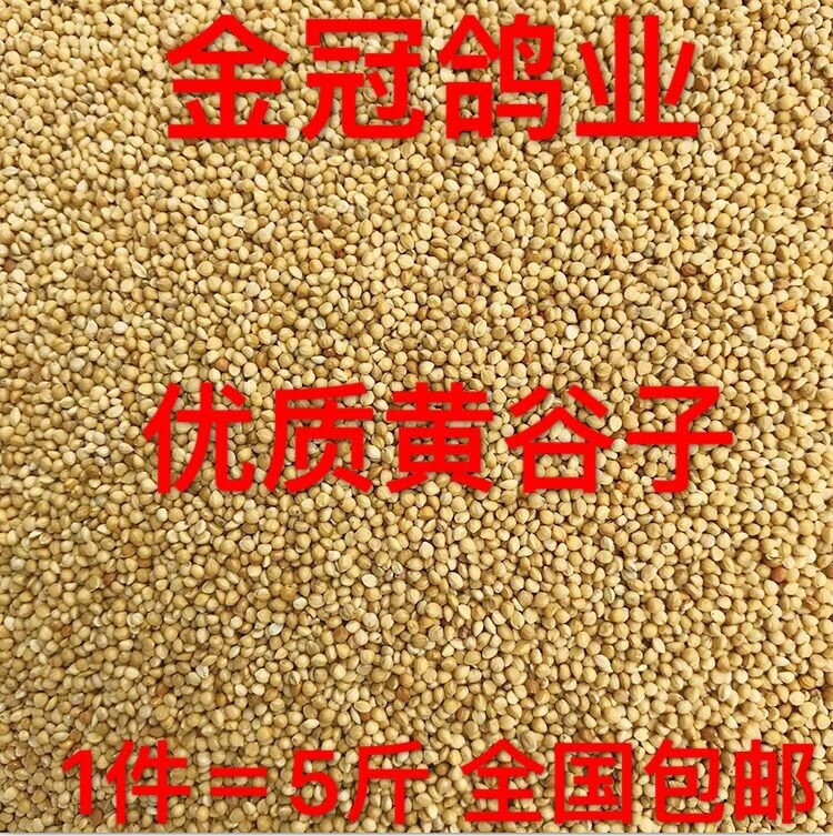 金冠鸽粮谷子5斤装鸟食鸽子粮包邮