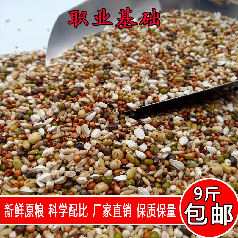 金冠鸽粮厂家店职业基础粮小颗粒九斤装