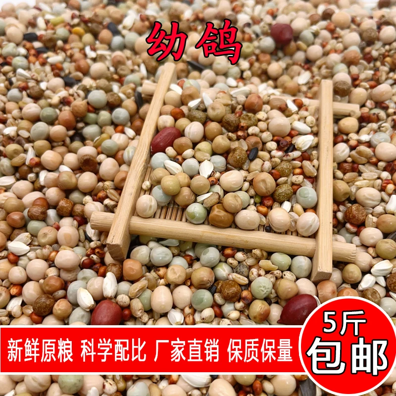 金冠精品无玉米基础幼鸽5斤小包装饲料鸽粮鸟粮鸽子食种鸽信鸽粮