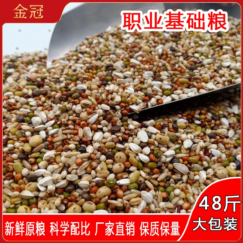 金冠鸽粮职业基础粮大包装48斤赛鸽幼鸽种鸽观赏鸽粮食