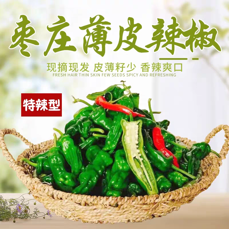 山东枣庄薄皮辣椒新鲜蔬菜现摘本地小皱皮炒肉青红辣椒樟树港辣椒