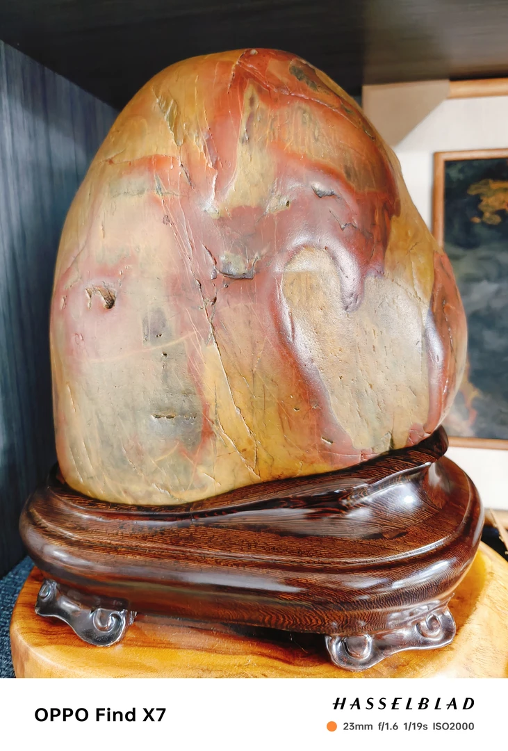 居家摆件   红狐狸  连底座尺寸  宽30cm*高33cm*厚22cm