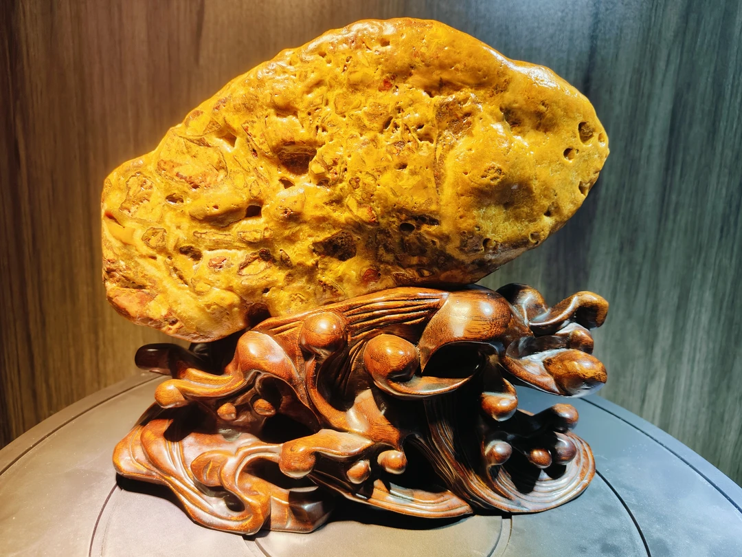 黄龙鱼，连座高23cm*长26cm*宽10cm