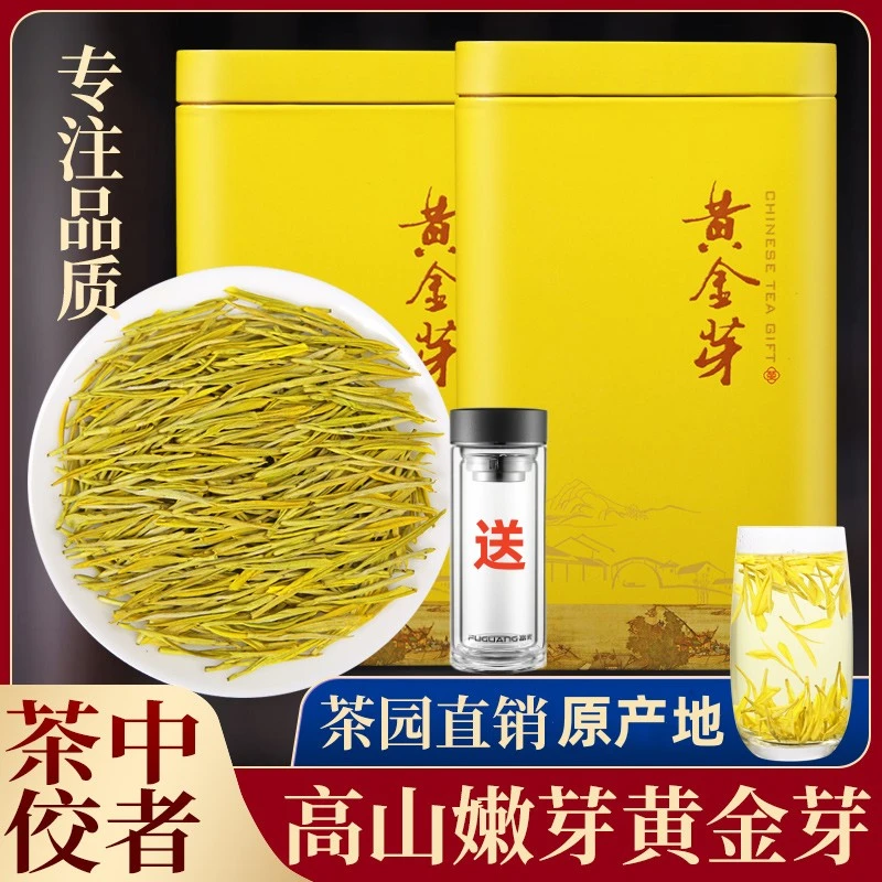刘禹昊2023新茶明前正宗黄金芽春茶茶叶绿茶香浓耐泡罐装