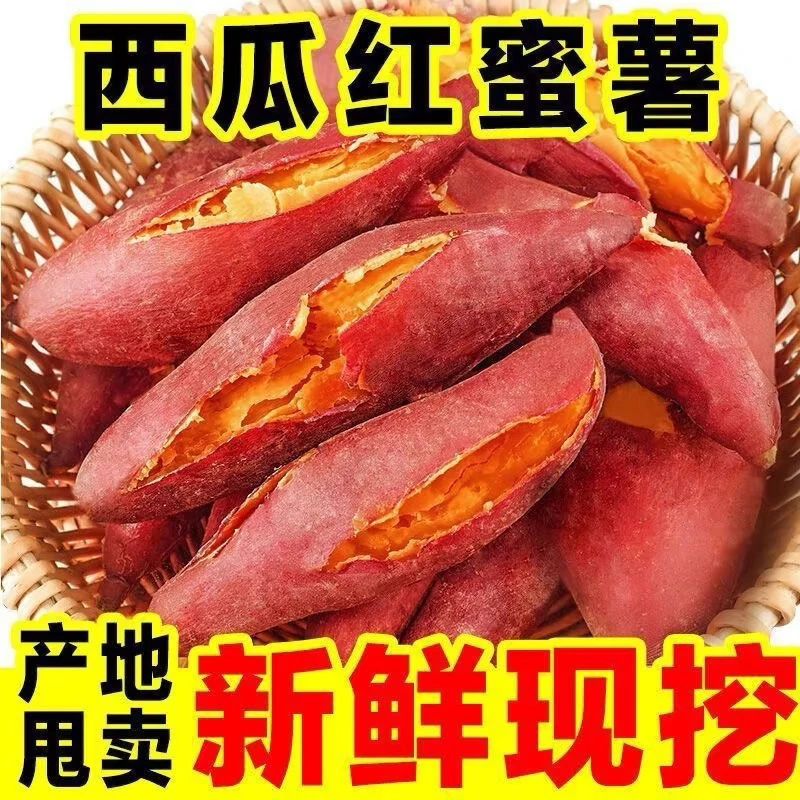 广西沙地西瓜红蜜薯软糯香甜番薯