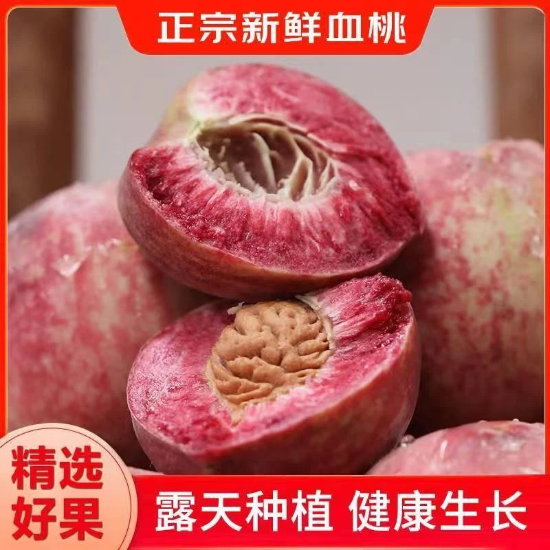 现摘现发血桃新鲜水果正宗胭脂红脆甜红肉桃子孕妇应季老树爆汁桃