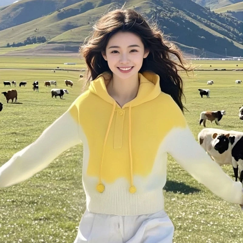 香朵儿小个子时尚品质女装针织衫2025春秋季新款宽松显瘦连帽上衣