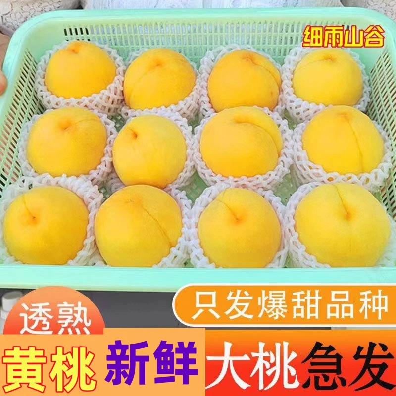 【顺丰】蒙阴黄金桃应季大桃子新鲜水果桃孕妇黄心肉蜜脆桃4.5斤3斤