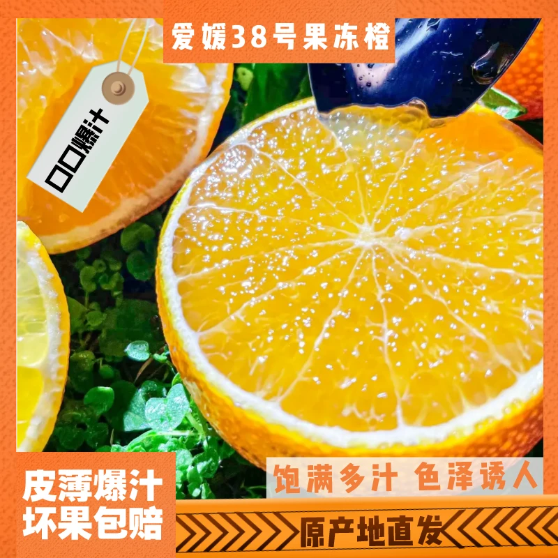 爱媛果冻橙高品质新鲜水果香甜多汁皮薄肉厚成熟采摘直供产品优质