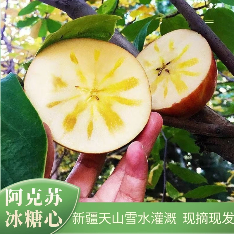 【顺丰快递】新疆阿克苏苹果冰糖心红富士新鲜自然坏果包赔4.5斤