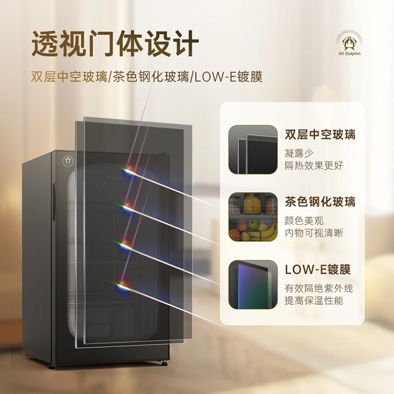 澳柯玛客厅冷柜客厅冰柜LC-100NEV