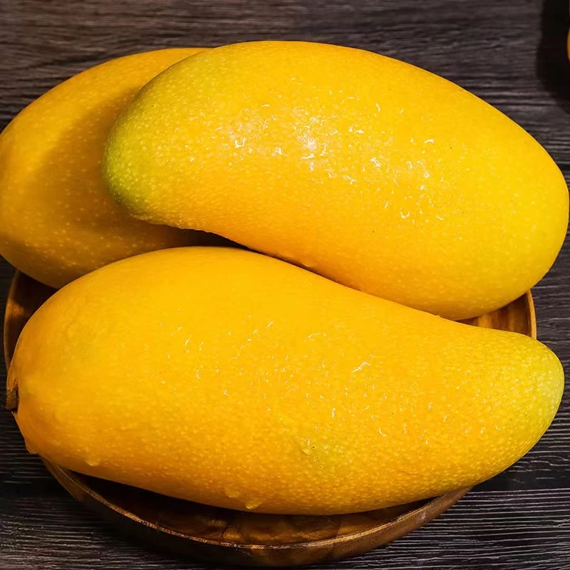 【哈赛专属】海南金煌芒果/催熟放软再吃/4.8-5斤装