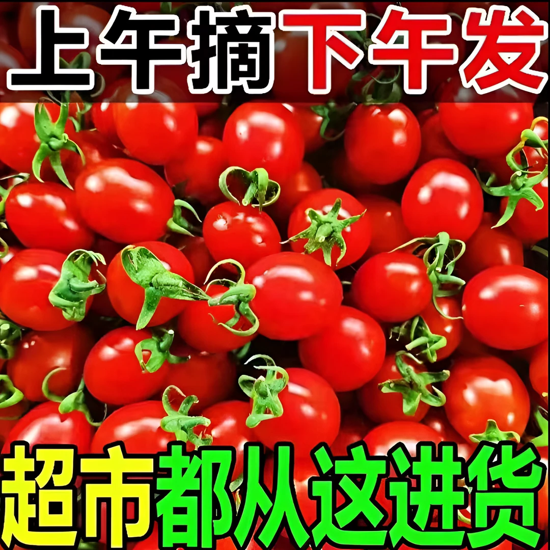 正宗广西圣女果千禧小番茄带箱5斤现摘现发酸甜多汁孕妇水果