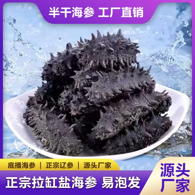 【工厂直发】拉缸盐海参大连底播半干海参辽刺参易泡发源头工厂直发