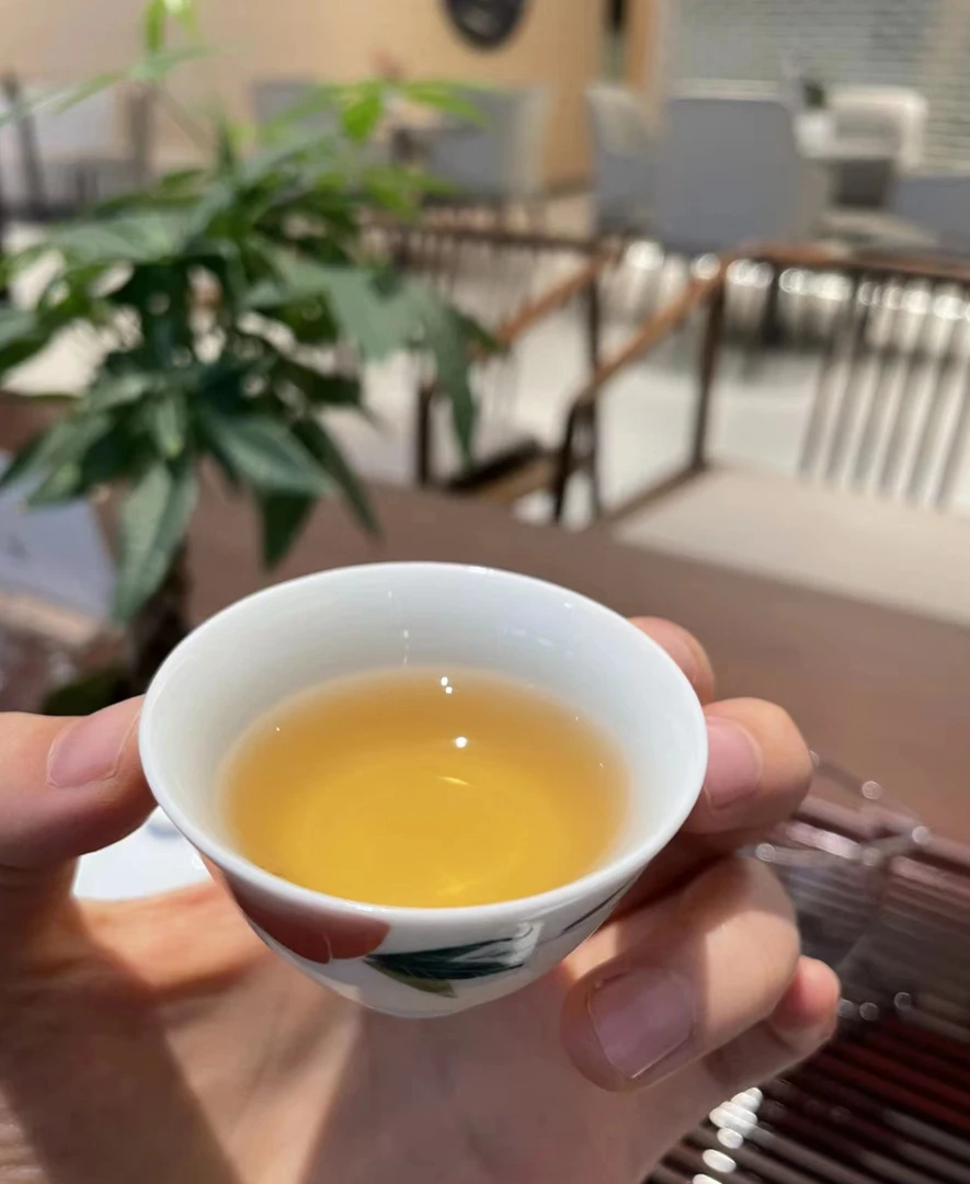 【南博会专属】梅子箐古树-滇绿-100g-绿茶