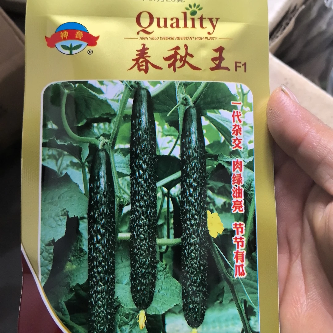 抗病毒黄瓜种20克